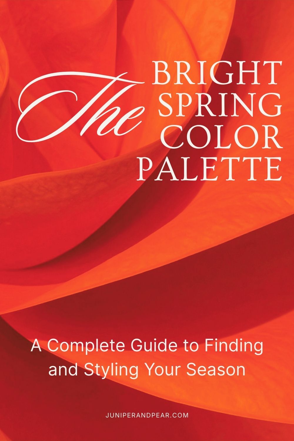 Bright Spring Color Palette: A Complete Guide to Finding and Styling ...