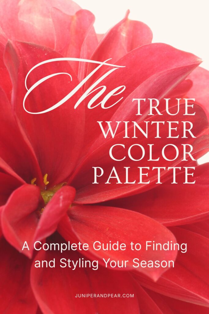 True-Winter-Color-Palette-Juniper-and-Pear-2.